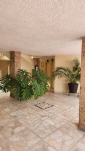 imagen de whatsapp 2025 10 27 a las 19.19.04 998fb0ef